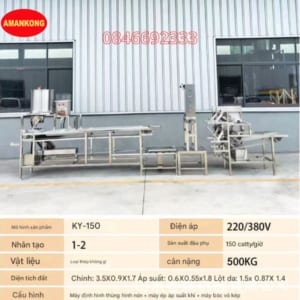 Máy đậu phụ dây chuyền hoàn toàn tự động Amakong - DCDP02
